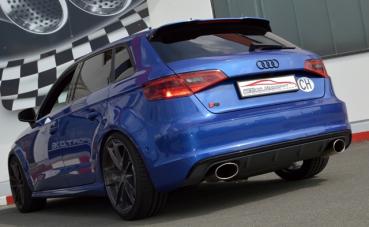 76mm Duplex-Anlage Audi S3 8V Sportback Quattro